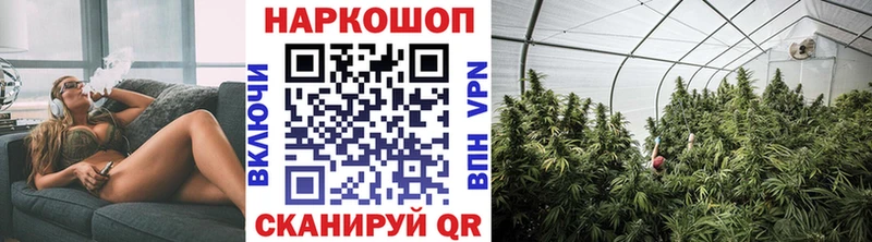 Купить наркотики Ясный АМФЕТАМИН  Галлюциногенные грибы  Канабис  МЕФ 