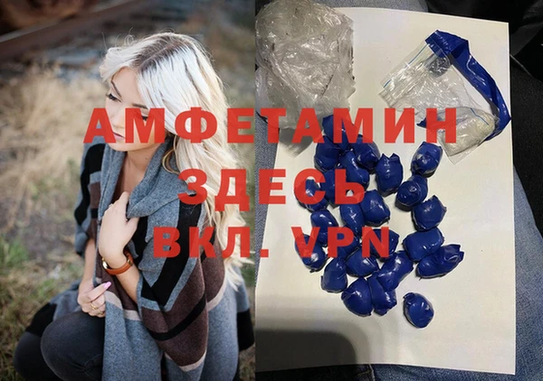 крисы Алексин