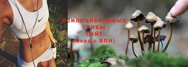 крисы Алексин