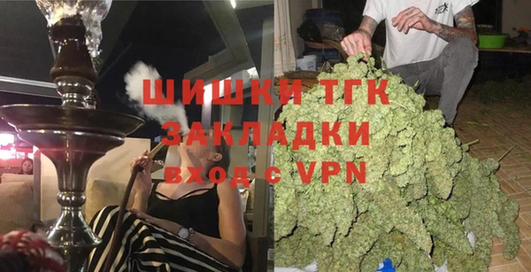 крисы Алексин