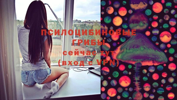 Альфа ПВП Абаза