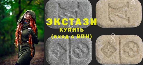 молекула духа Ельня
