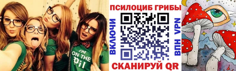 Псилоцибиновые грибы Cubensis  Ясный 